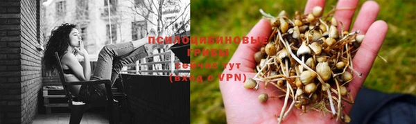 прущие крисы Мегион