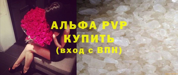 гашик Майский