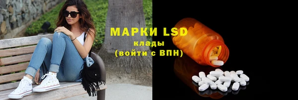 СК Апатиты