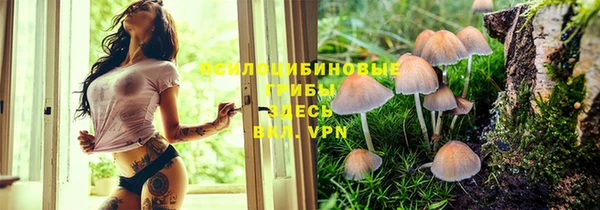 марихуана Магадан