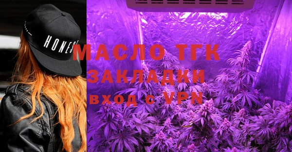 гашик Майский