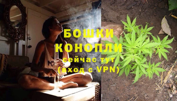 mdpv Магас