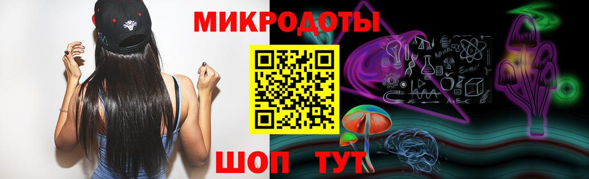 Галлюциногенные грибы Psilocybe Кандалакша